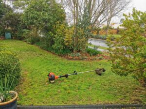 Tidy lawn edge trimmed by Four Seasons Lawn Care