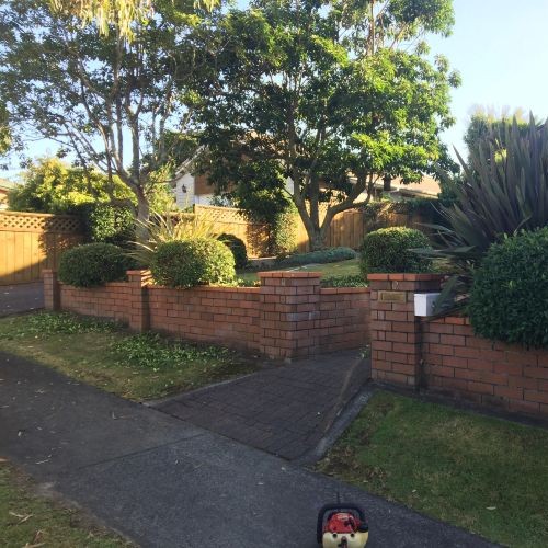 Hedge and tree trimming job completed by Four Seasons Lawn Care in Gisborne